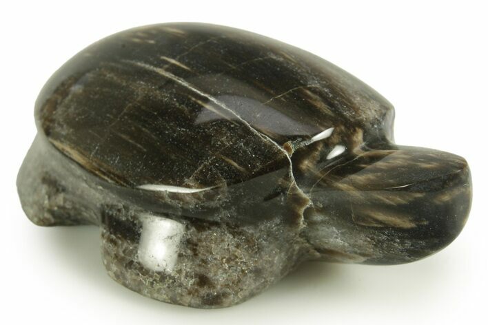 Polished Petrified Wood (Sycamore) Turtle - Nevada #366290